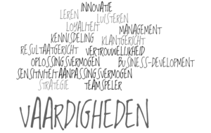 Competentiegerichte werving en selectie: skills en vaardigheden