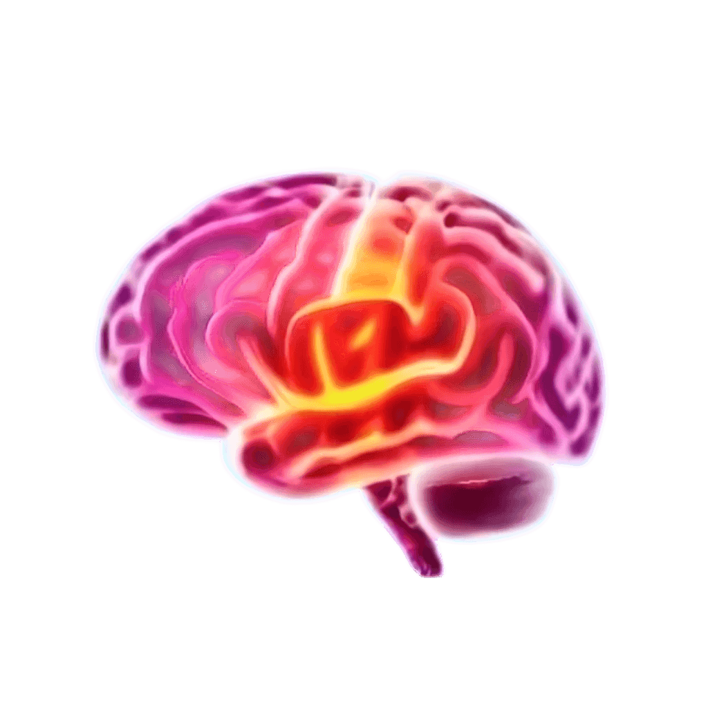 Visualisatie van neuromarketing in recruitment voor het brein